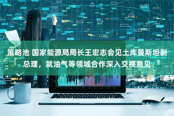 策略池 国家能源局局长王宏志会见土库曼斯坦副总理，就油气等领域合作深入交换意见