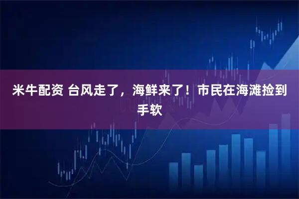 米牛配资 台风走了，海鲜来了！市民在海滩捡到手软