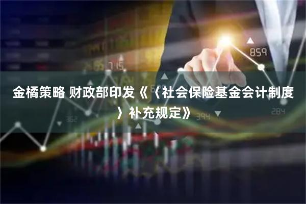 金橘策略 财政部印发《〈社会保险基金会计制度〉补充规定》