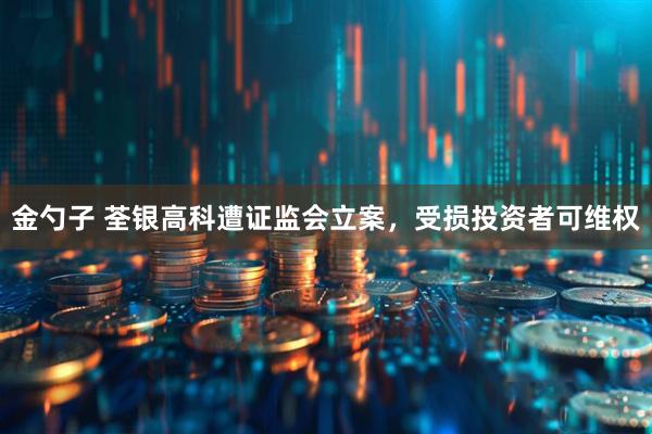 金勺子 荃银高科遭证监会立案，受损投资者可维权