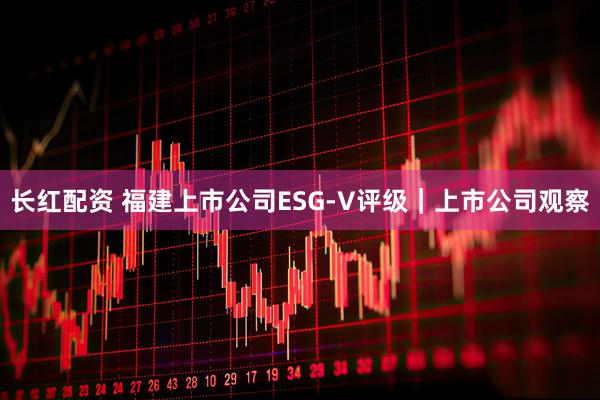 长红配资 福建上市公司ESG-V评级｜上市公司观察