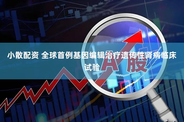 小散配资 全球首例基因编辑治疗遗传性肾病临床试验