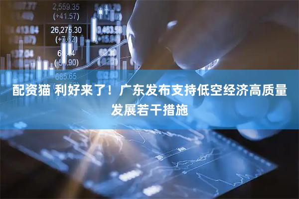 配资猫 利好来了！广东发布支持低空经济高质量发展若干措施